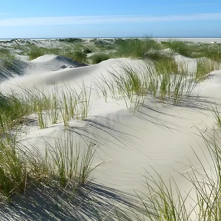Vila Aurora Borkum
